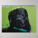 Recherche de animal travail posters Canin