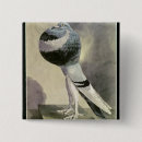 Recherche de tube badges Oiseau