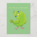 Recherche de perruches cartes postales Perruque