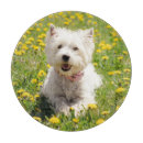 Recherche de westie planches à découper Mignon