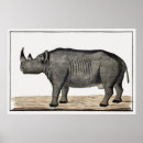 Recherche de rhinocéros noir posters Faune