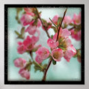 Suche nach quitte poster Natur