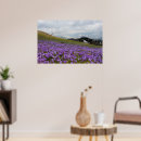 Suche nach krokus poster Natur