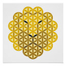 Recherche de lionne posters Animal