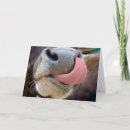 Recherche de langue de vache cartes postales Ferme