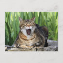 Suche nach kittel poster Lustig
