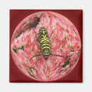 Recherche de sauterelle magnets Macro