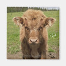 Recherche de épaule magnets Vue de face