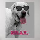 Suche nach entspannung poster Cool