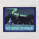 Suche nach roadrunner postkarten Tiere