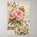 Suche nach vintage botanik poster Antiquarisch