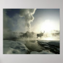 Suche nach yellowstone poster Landschaft