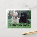 Recherche de laboratoire de chocolat cartes postales Dog