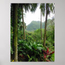 Recherche de forêt tropicale posters Arbres