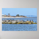 Suche nach kormoran poster Cormoran