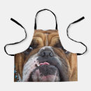 Suche nach englische bulldogge schürzen Hund