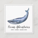 Recherche de baleines cartes visite Nautique