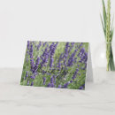 Suche nach aromatherapie karten Blume