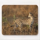 Suche nach mcdonalds mousepads Mary ann mcdonald