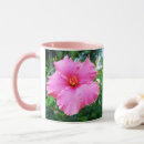 Suche nach rosa hibiskus tassen Blüte