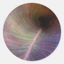 Recherche de canna autocollants Feuille