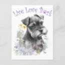 Suche nach schnauzer postkarten Niedlich