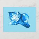Recherche de coquilles de conque cartes postales Bleu