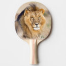 Recherche de lions raquettes ping pong Gros chat