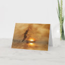 Recherche de côte vœux cartes Mouettes