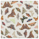 Suche nach insekten stoffe Motten