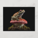 Suche nach pilze postkarten Hütte