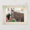 Recherche de alt cartes postales Vintage