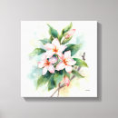Suche nach botanik poster leinwandbilder Aquarell