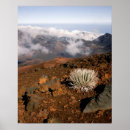 Suche nach haleakala poster Hawaii
