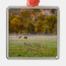 Recherche de elk ornements Faune