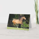Suche nach lusitano karten Schnalle