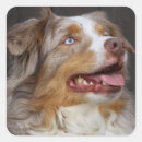 Suche nach dog lover aufkleber Welpe