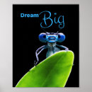 Recherche de libellules posters De libellule