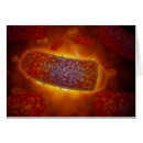 Recherche de virologie cartes postales Trois dimensions