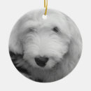 Suche nach schäferhund ornamente Haustiere