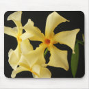 Suche nach japanische blume mousepads Grün