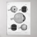 Suche nach optometrist poster Optometrie