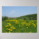 Suche nach klarer himmel poster Landschaft
