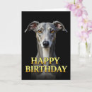 Suche nach greyhound karten Tier