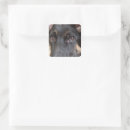 Suche nach herdenhund aufkleber Haustier