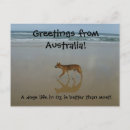 Suche nach dingo poster Australie