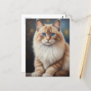 Recherche de races de chat posters Cats
