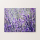 Suche nach lavendel blume puzzle Sommer