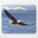Suche nach flug mousepads Raubvogel