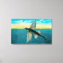 Suche nach fliegender fisch Catalina